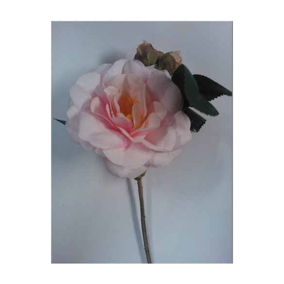 Rózsaszál bimbós 25cm Rózsaszín