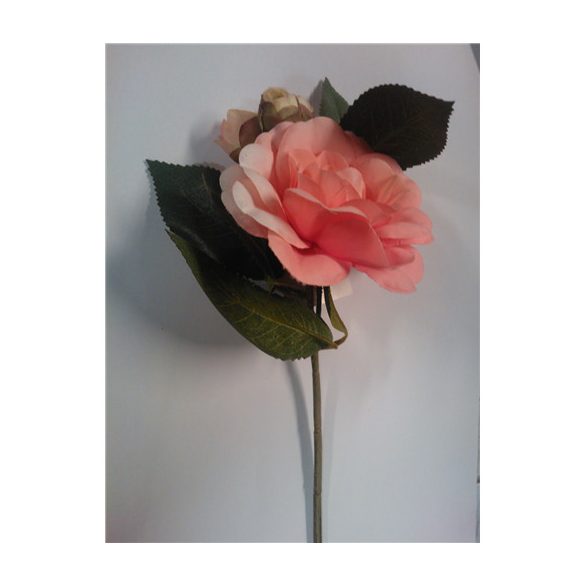 Rózsaszál bimbós 25cm Lazac