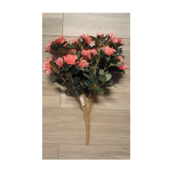 Azalea bokor 45cm - Rózsaszín