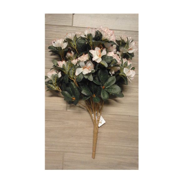 Azalea bokor 45cm - Cirmos rózsaszín