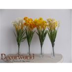Nárcisz 50cm 14 sz