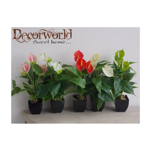 Flamingó Virág Cserepes 40cm