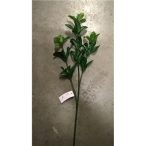 Zöld leveles bimbós ág 70cm
