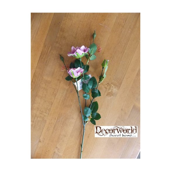 Szálas rózsa mályva 50cm 2 fej, 1 bimbó