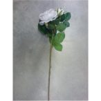 Szálas rózsa rózsaszín 55cm