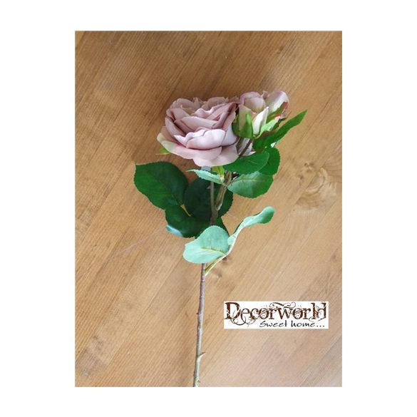 Szálas rózsa vanília 55cm