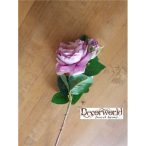 Szálas rózsa mályva 55cm