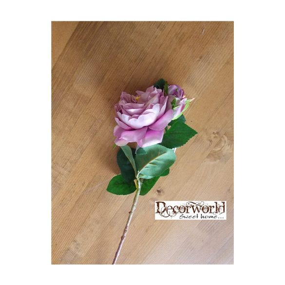 Szálas rózsa mályva 55cm