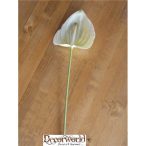 Flamingó gumi 80cm krém