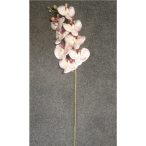 Orchidea gumi 7 fej 100cm krém/lila