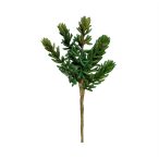 Pianta Artificiale pozsgás növény 6 ág 20cm