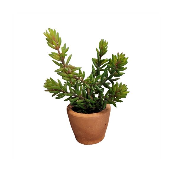 Pianta Artificiale pozsgás növény 6 ág 20cm  (agyag cserépben)