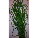 Fűfutó hullámos 75cm - Zöld