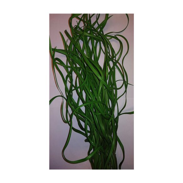 Fűfutó hullámos 75cm - Zöld