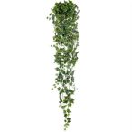 Borostyán lógó bokor 180cm