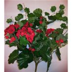 Futó muskátli 10ágas 65 cm - Piros