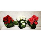   Muskátli selyem csokor 38 cm - 3 színben Piros-ciklámen-rózsaszín