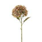 Hortenzia 115cm - Zöld