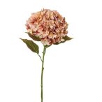 Hortenzia 115cm - Sötét