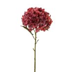 Hortenzia 115cm - Mályva