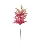 Selyemvirág Astilbe 65cm - Mályva