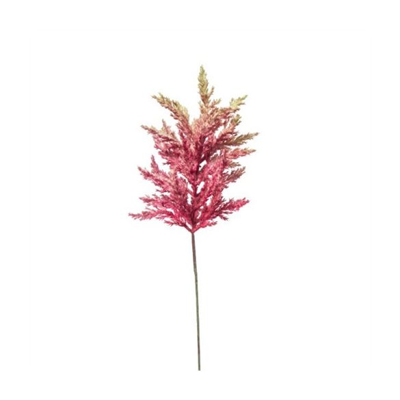 Selyemvirág Astilbe 65cm - Mályva