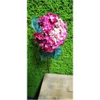 Hortenzia szálas 90cm - Vörös