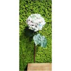 Hortenzia szálas 90cm - Kék