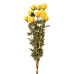Rózsa csokor 10 szál, 78 cm - Sárga