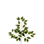 Ficus selyemvirág ág 56cm