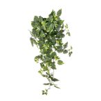 Selyemvirág futó növény deres 90cm- zöld