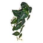 Selyemvirág caladium futó 45cm - Zöld