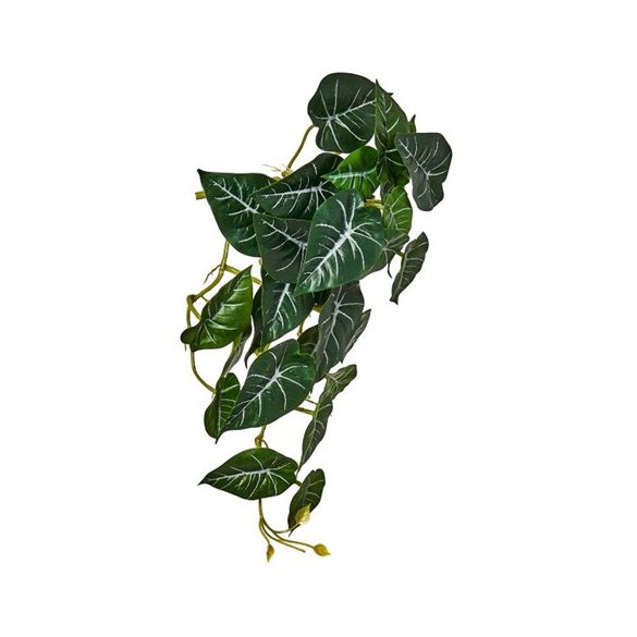 Selyemvirág caladium futó 45cm - Zöld