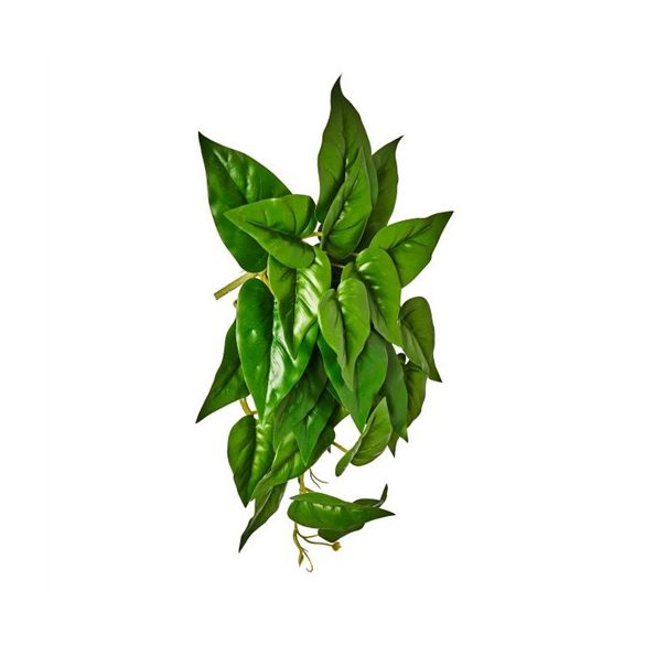 Selyemvirág caladium futó 45cm - Zöld