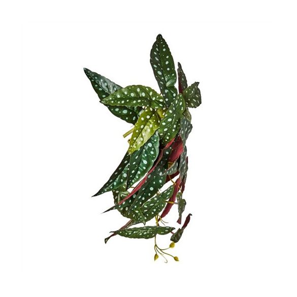 Selyemvirág pöttyös begónia futó 45cm - Zöld