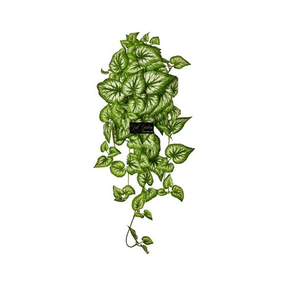 Selyemvirág begónia futó 65cm