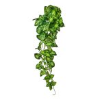 Selyemvirág caladium futó 95cm