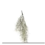 Selyemvirág bromélia füzér 60cm - Zöld