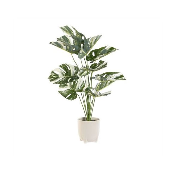 Monstera cserepes 46x46x66 cm