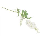 Wisteria ág 83cm - Krém