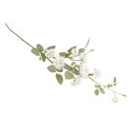 Rózsa ág kisvirágú 77cm - Krém