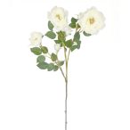 Angolrózsa 98 cm - Fehér