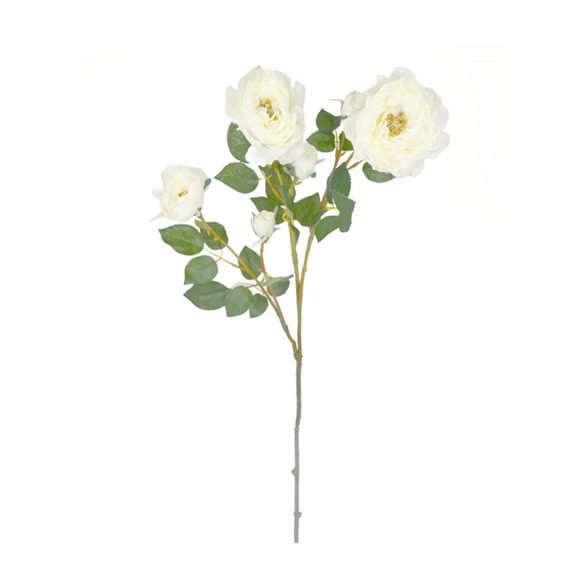 Angolrózsa 98 cm - Fehér