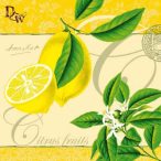 Ambiente szalvéta 33x33cm 20db/csom.