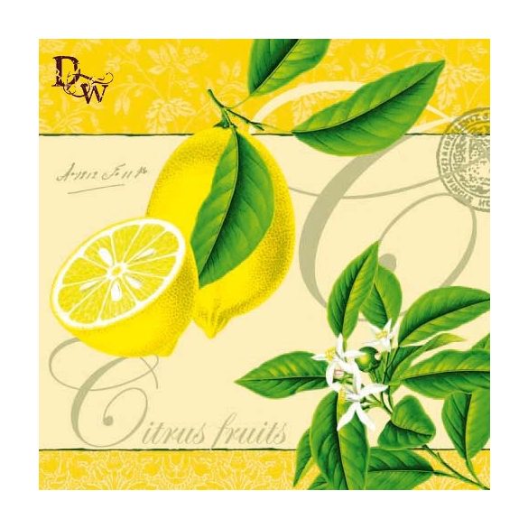 Ambiente szalvéta 33x33cm 20db/csom.