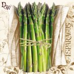 Ambiente szalvéta 33x33cm 20db/csom. ASPERGES