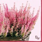 Ambiente szalvéta 33x33cm 20db/csom. Erica Lila