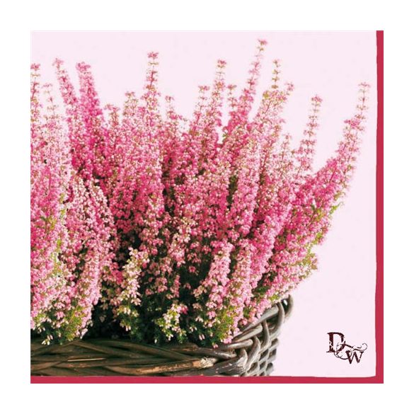 Ambiente szalvéta 33x33cm 20db/csom. Erica Lila