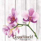 Ambiente szalvéta 33x33cm 20db/csom. Single orchid