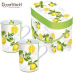 porcelán bögre sett/2db citrus